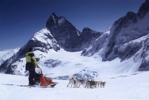 chiens de traîneaux méribel